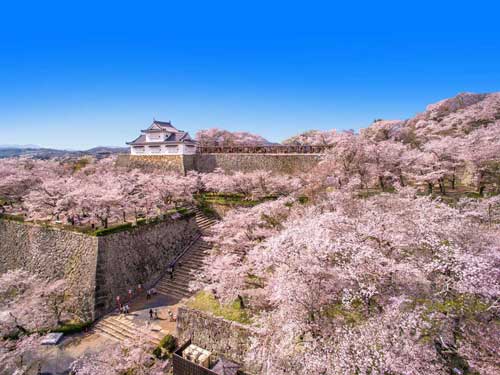 鶴山公園